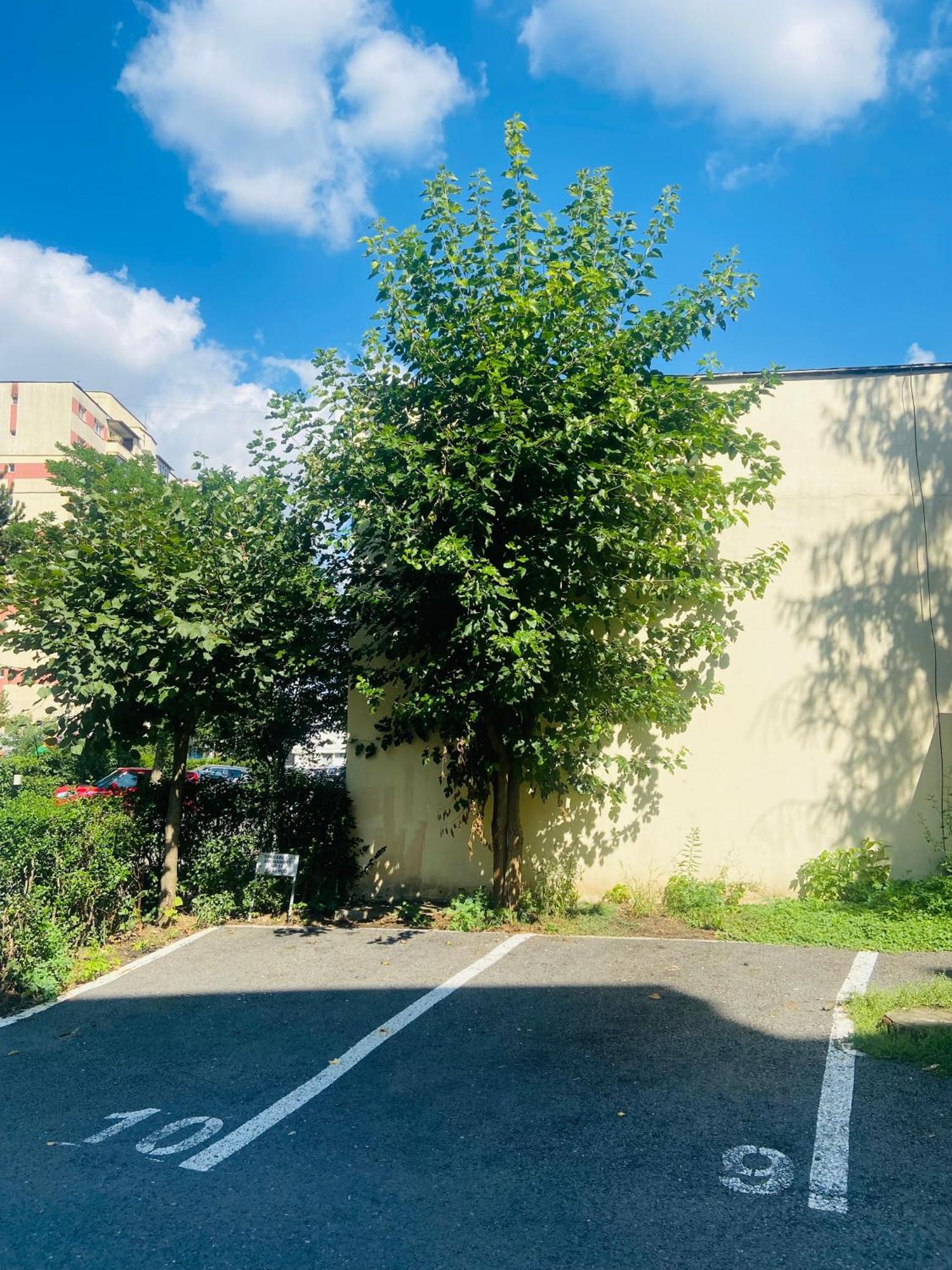 Nono's Apartament