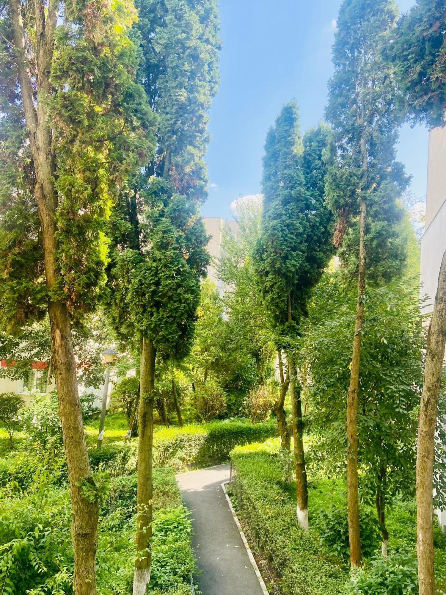 Apartament Nono's